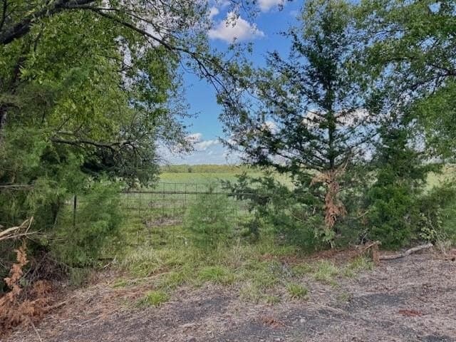 70 acres in Delta County - photo 4