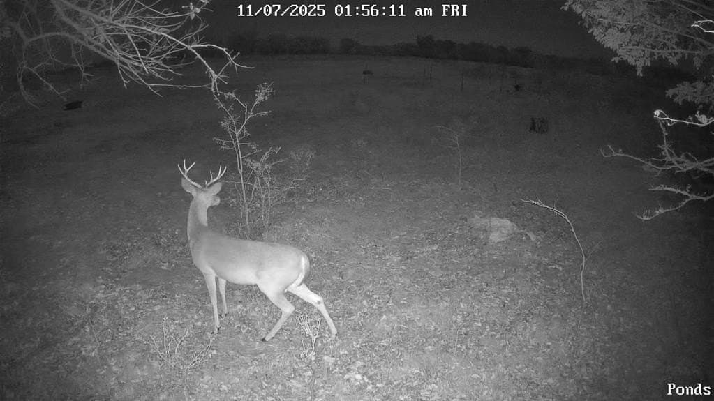 70 acres in Delta County - photo 10