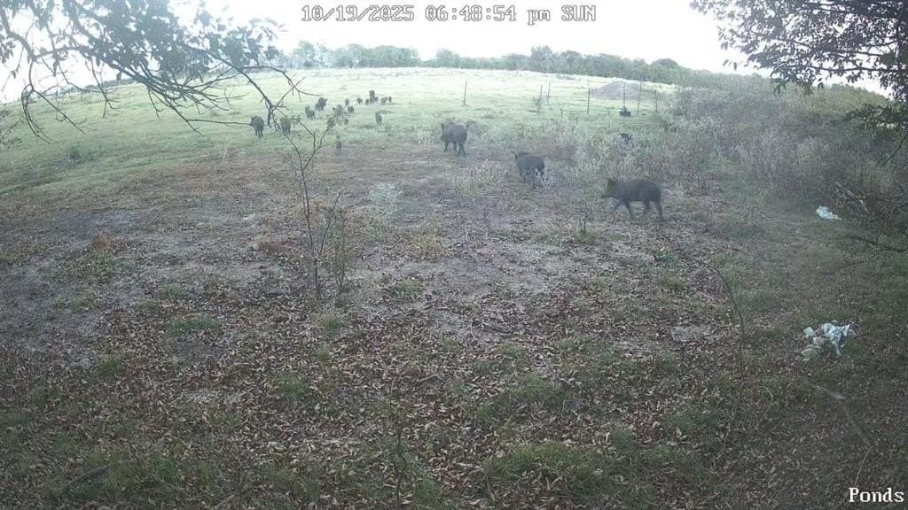 70 acres in Delta County - photo 11