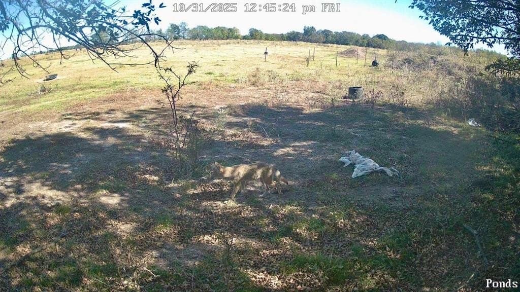 70 acres in Delta County - photo 12