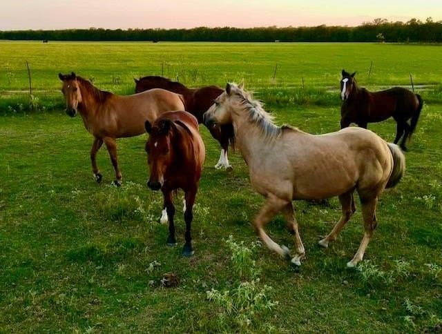 70 acres in Delta County - photo 9