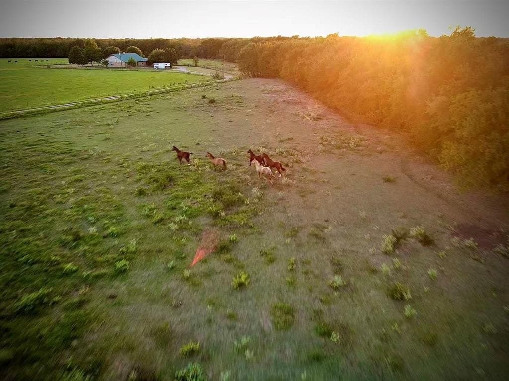 70 acres in Delta County - photo 8