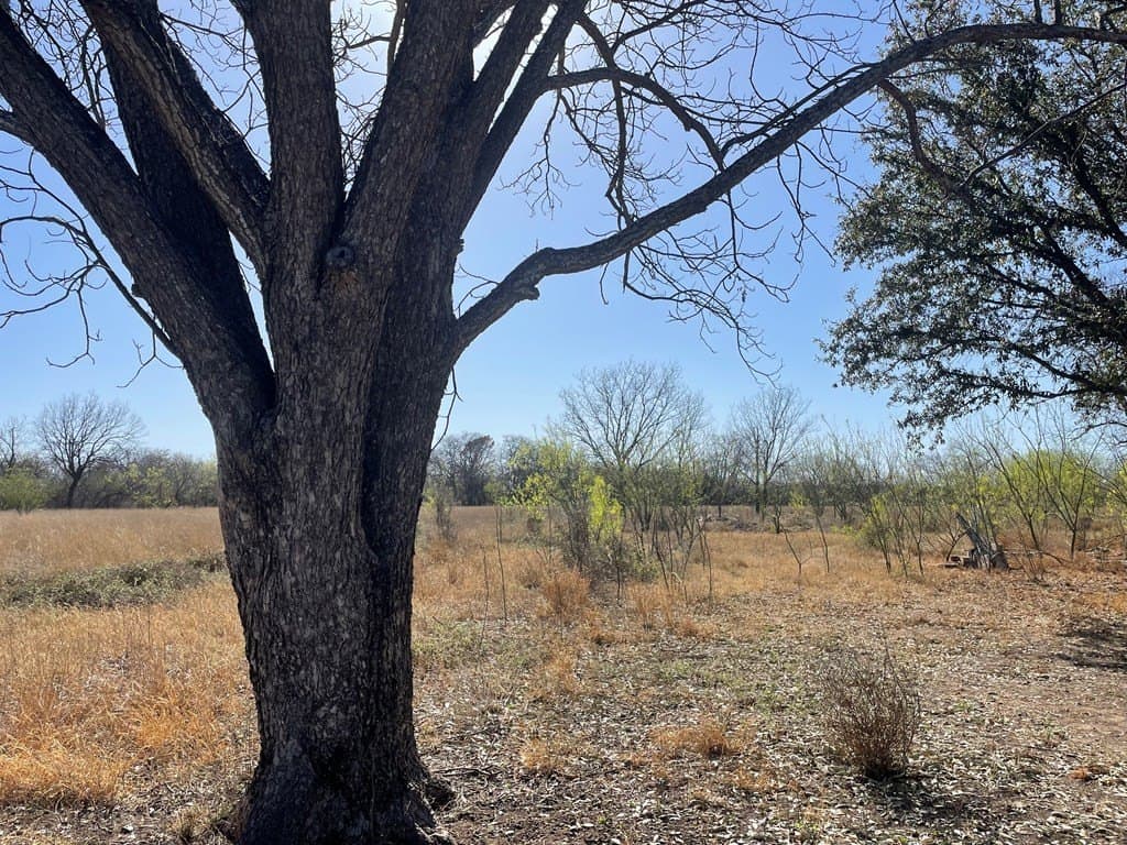 43,560 acres in Maverick County - photo 5