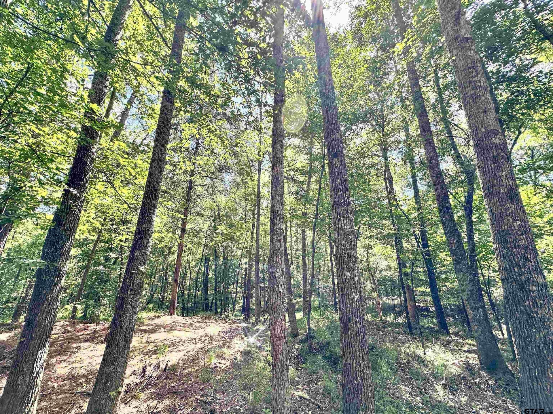 5 acres in Anderson County - photo 6