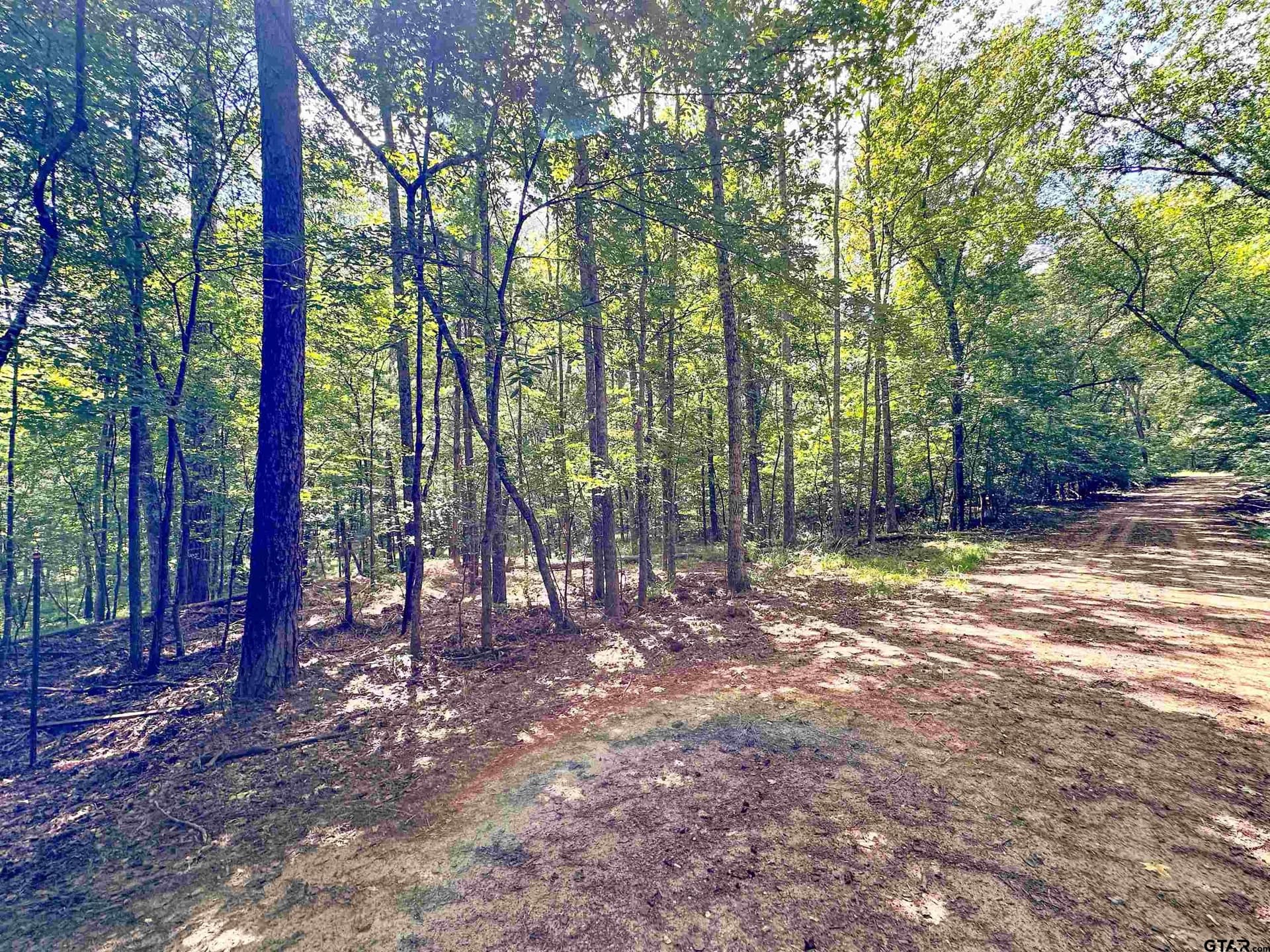 5 acres in Anderson County - photo 4