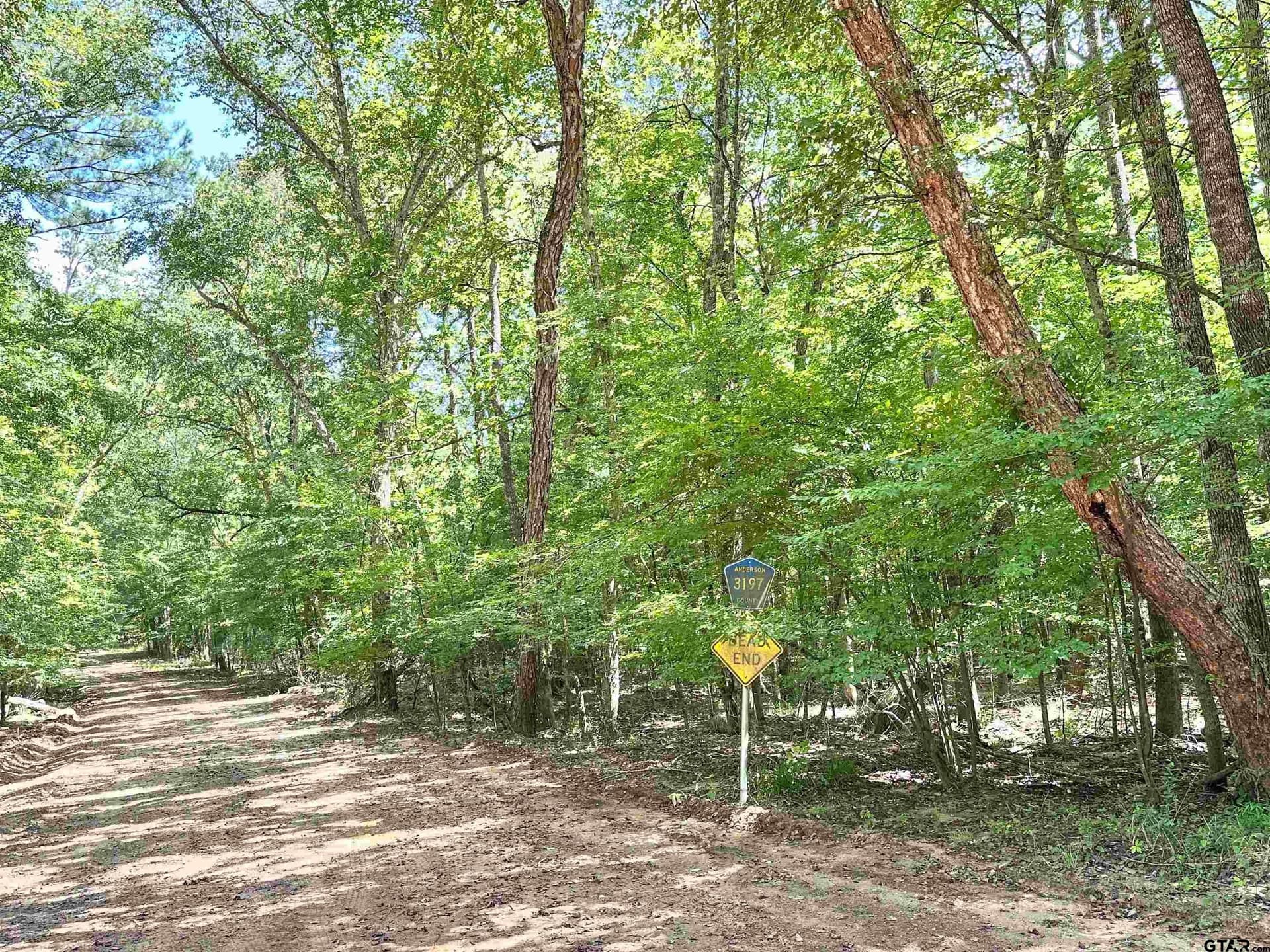 5 acres in Anderson County - photo 2