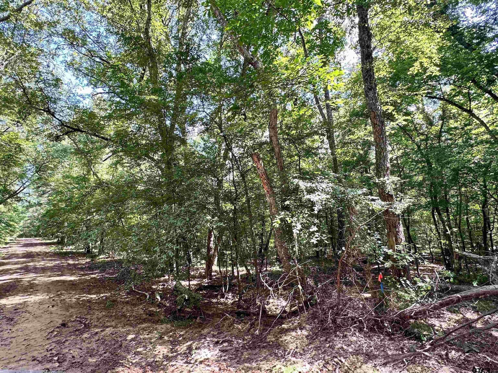 5 acres in Anderson County - photo 3