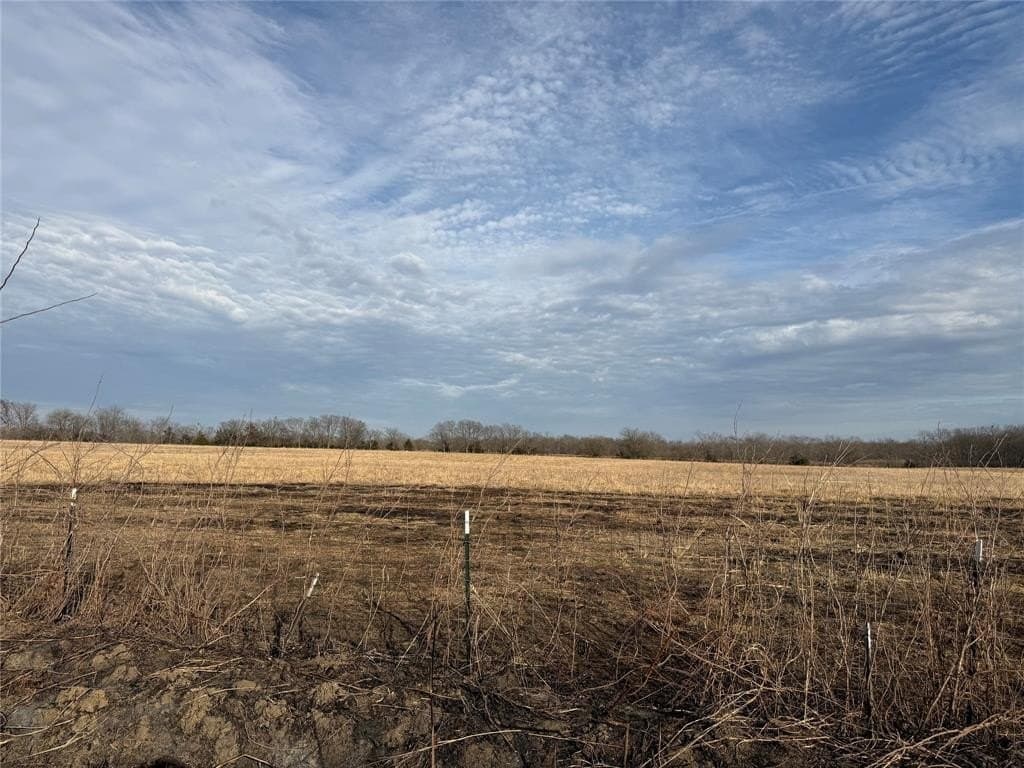 45.34 acres in Red River County - photo 2