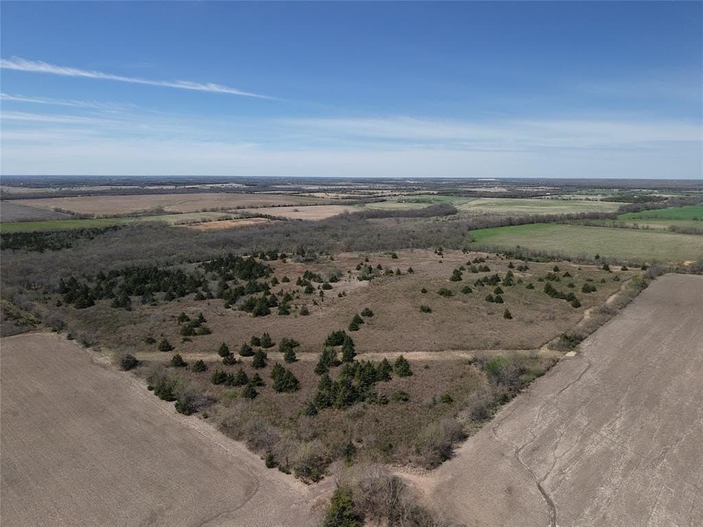 45.34 acres in Red River County - photo 4