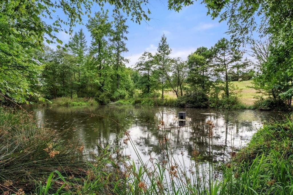 57.6 acres in Franklin (TX) County - photo 14