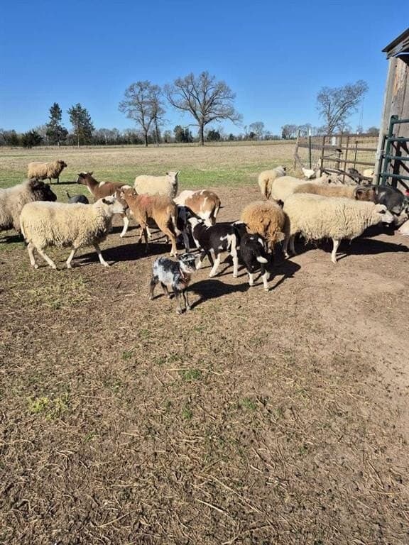 57.6 acres in Franklin (TX) County - photo 26
