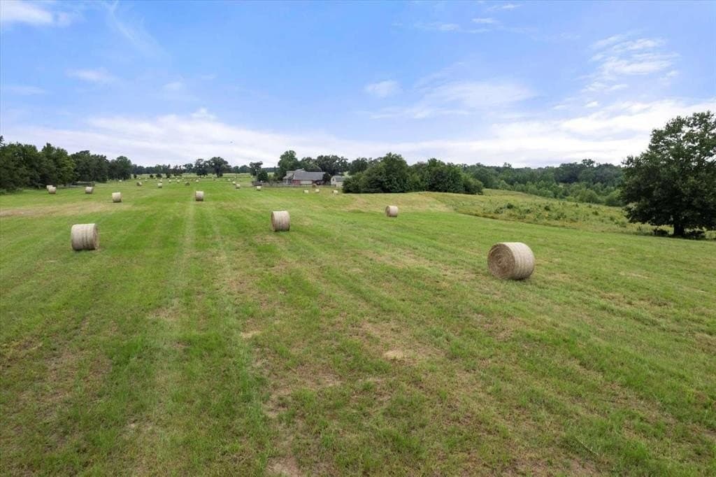 57.6 acres in Franklin (TX) County - photo 25