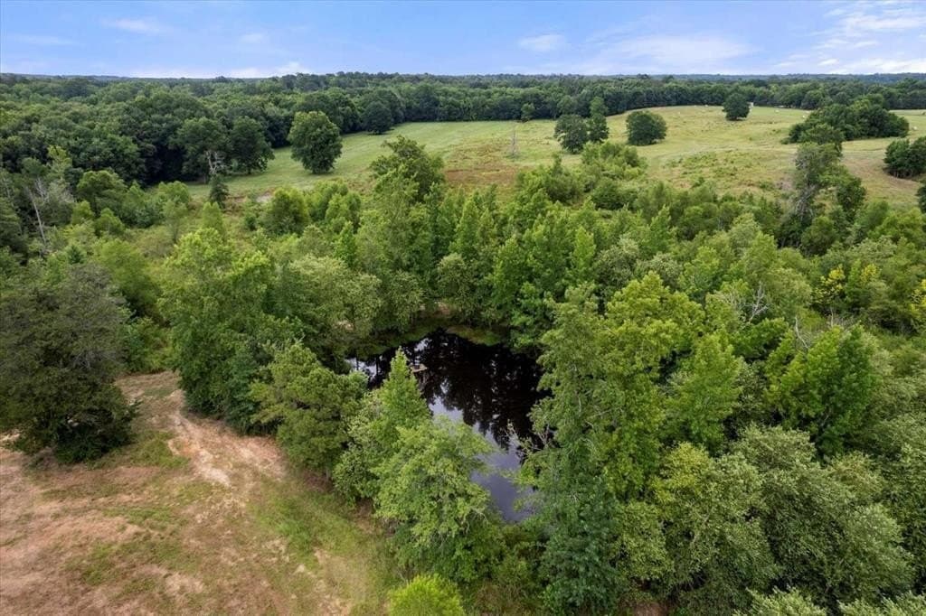 57.6 acres in Franklin (TX) County - photo 13
