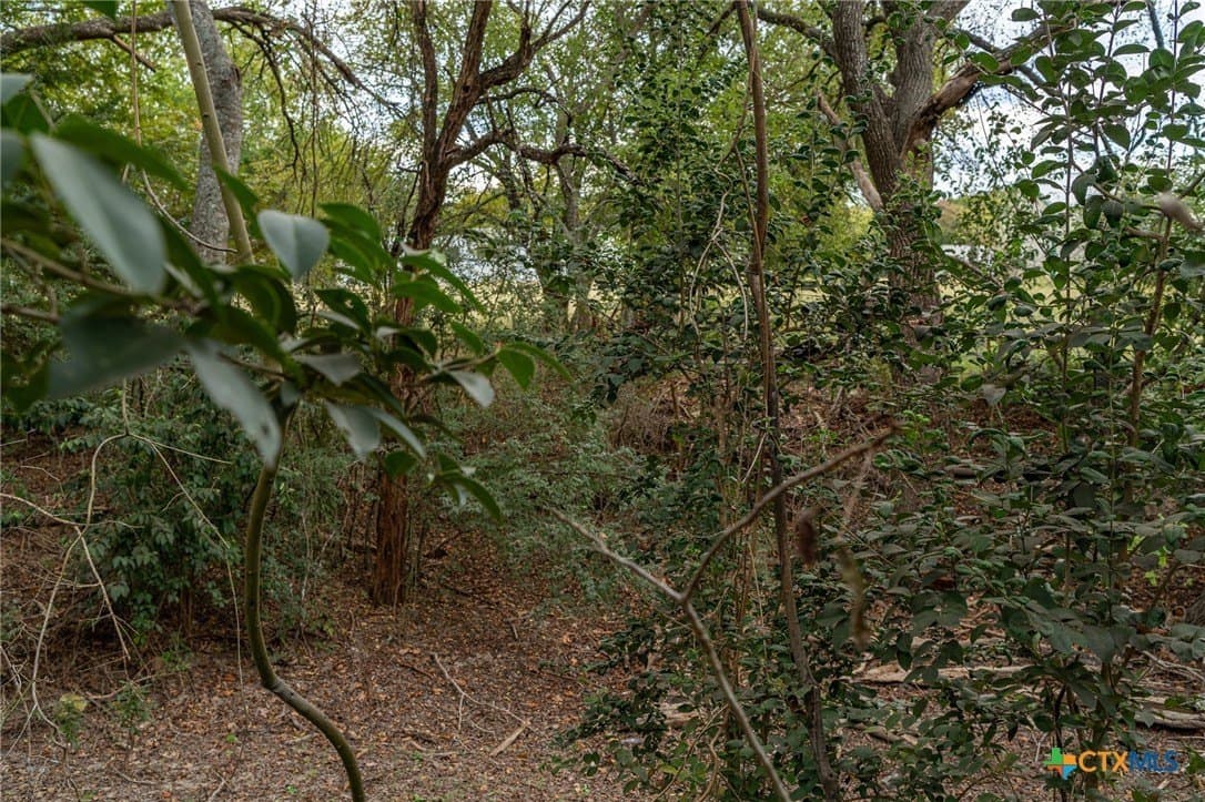 7.93 acres in McLennan County - photo 8