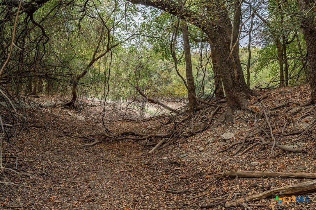 7.93 acres in McLennan County - photo 6