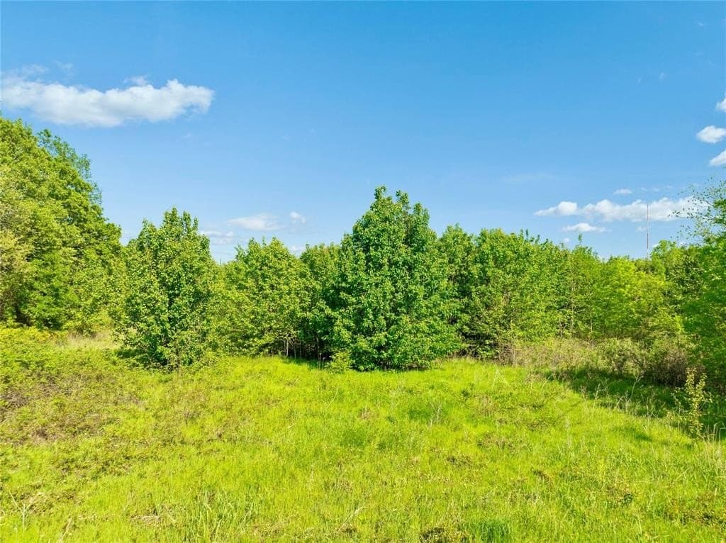 37.49 acres in Lamar County - photo 9