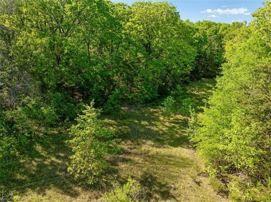 37.49 acres in Lamar County - photo 11