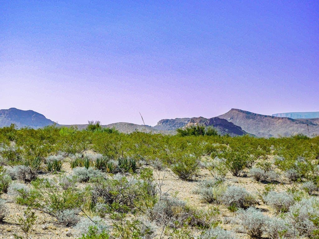 40 acres in Brewster County - photo 5