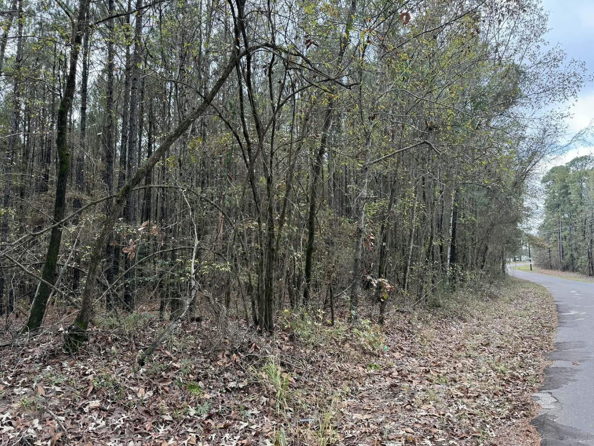 3.09 acres in Marion County - photo 8