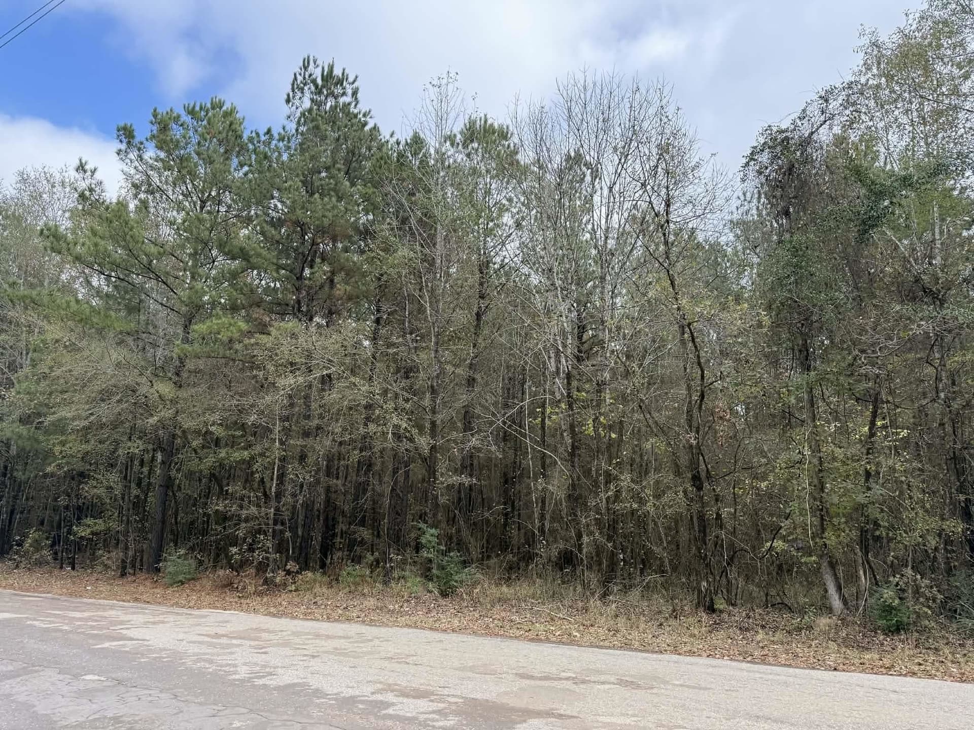 3.09 acres in Marion County - photo 7