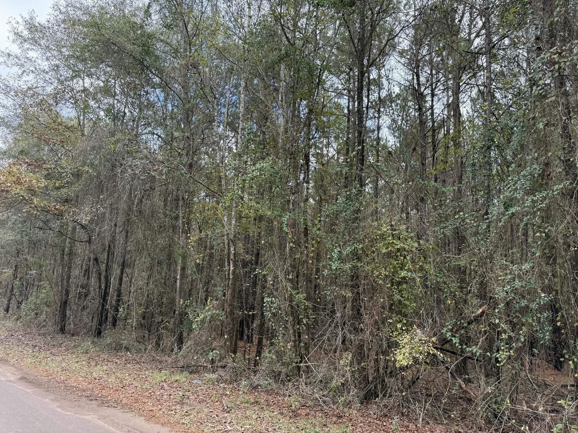 3.09 acres in Marion County - photo 2