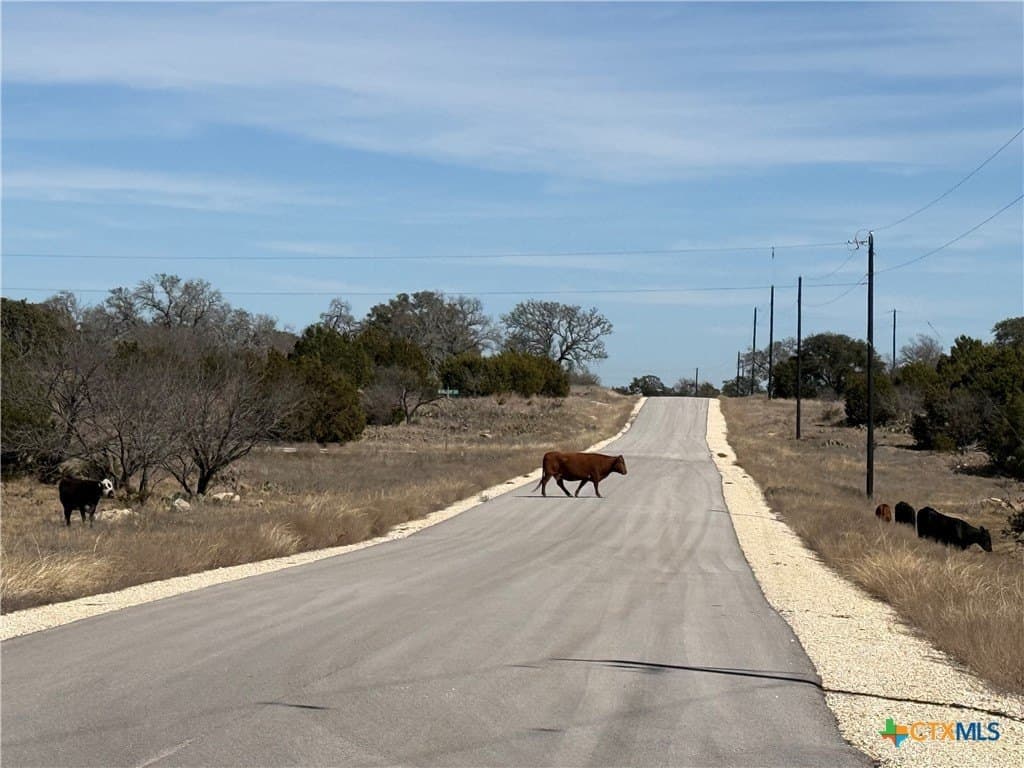 5.15 acres in Burnet County - photo 16
