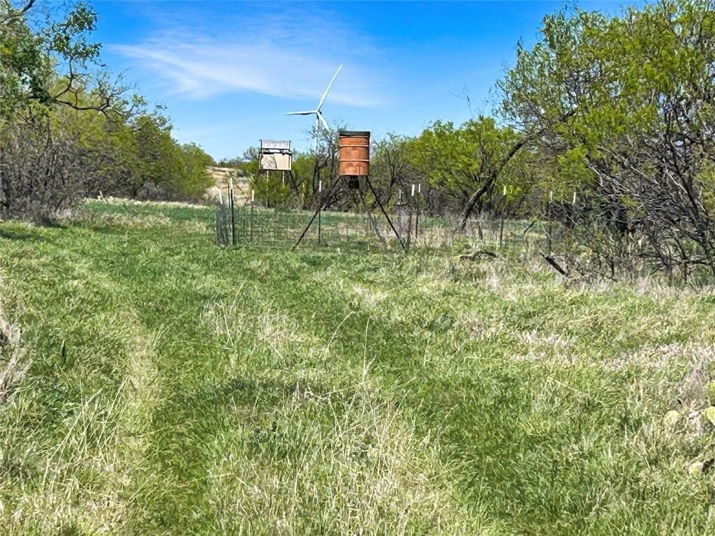 256.34 acres in Eastland County - photo 5