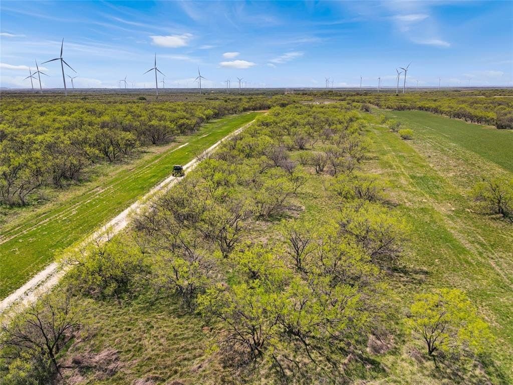 256.34 acres in Eastland County - photo 12