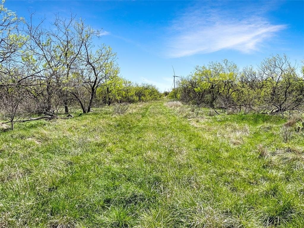 256.34 acres in Eastland County - photo 26