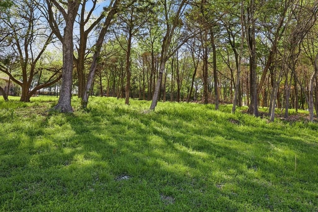 1.61 acres in Collin County - photo 2