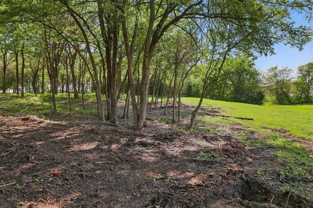 1.61 acres in Collin County - photo 13