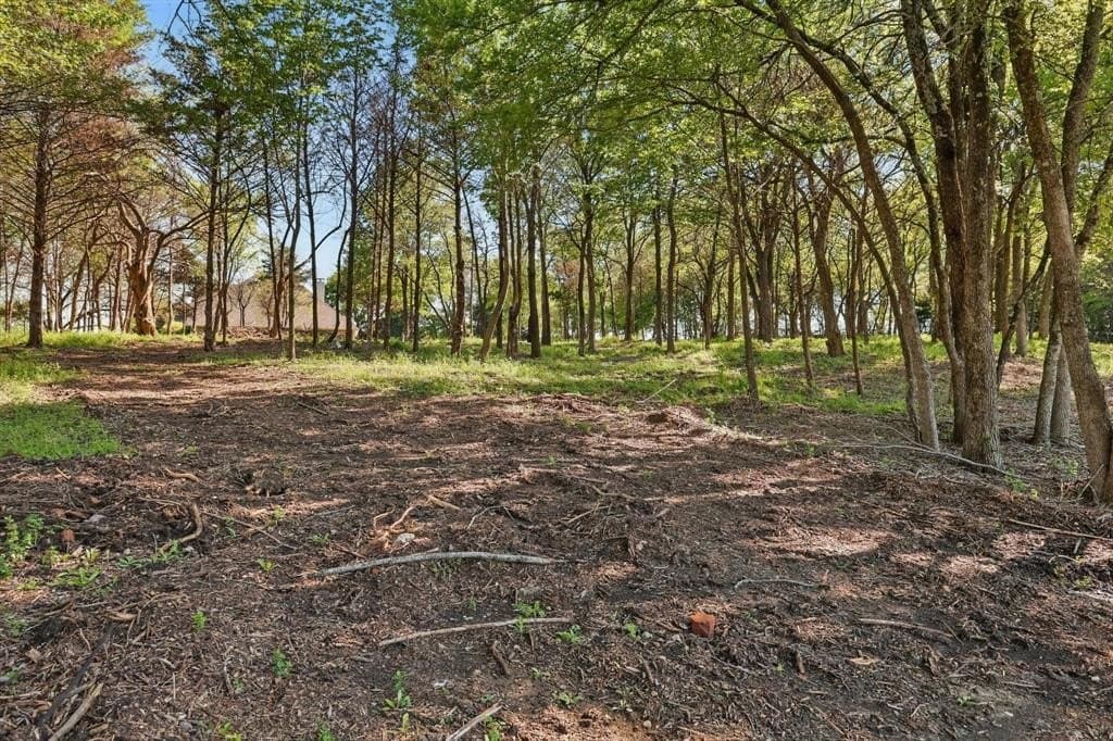 1.61 acres in Collin County - photo 14