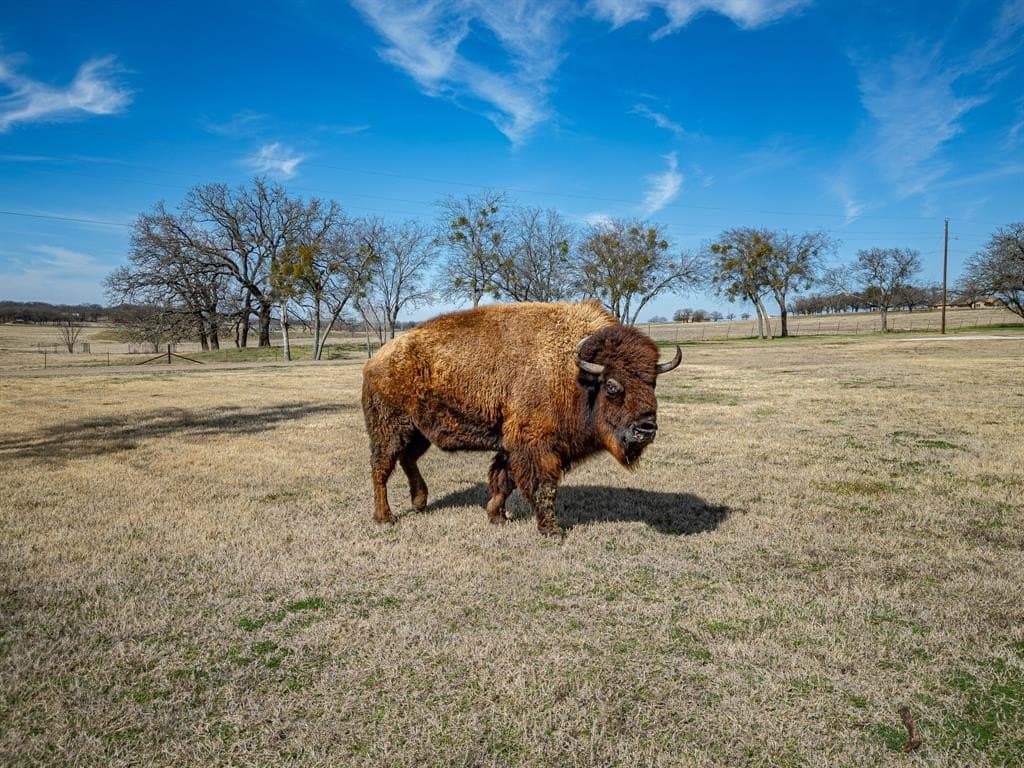 10.56 acres in Johnson County - photo 39