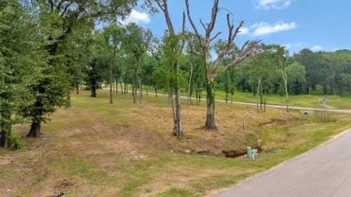 0.54 acres in Kaufman County - photo 2