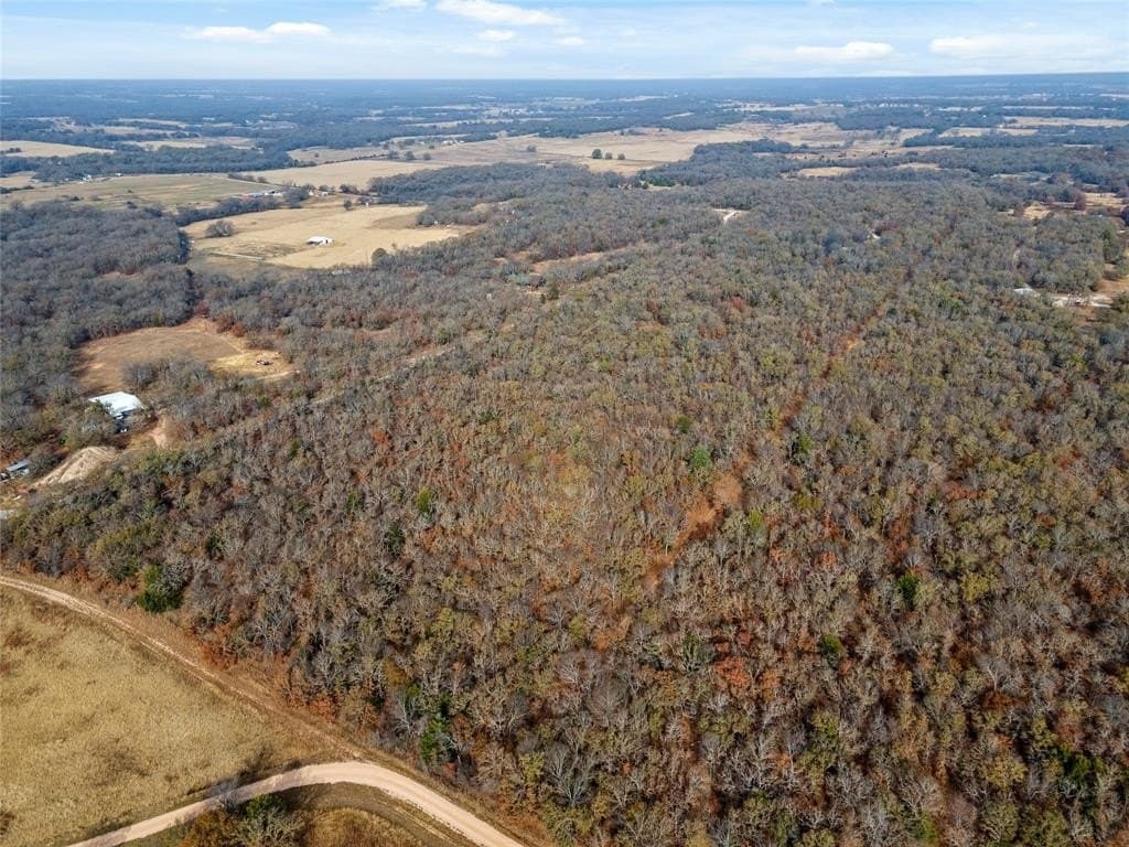 23.83 acres in Wise County - photo 15