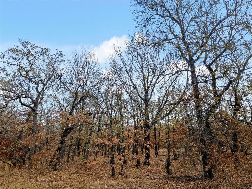 23.83 acres in Wise County - photo 24
