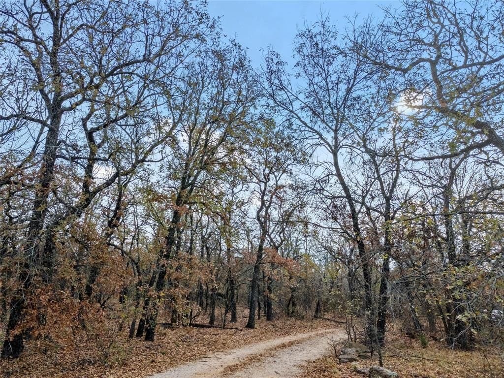 23.83 acres in Wise County - photo 23