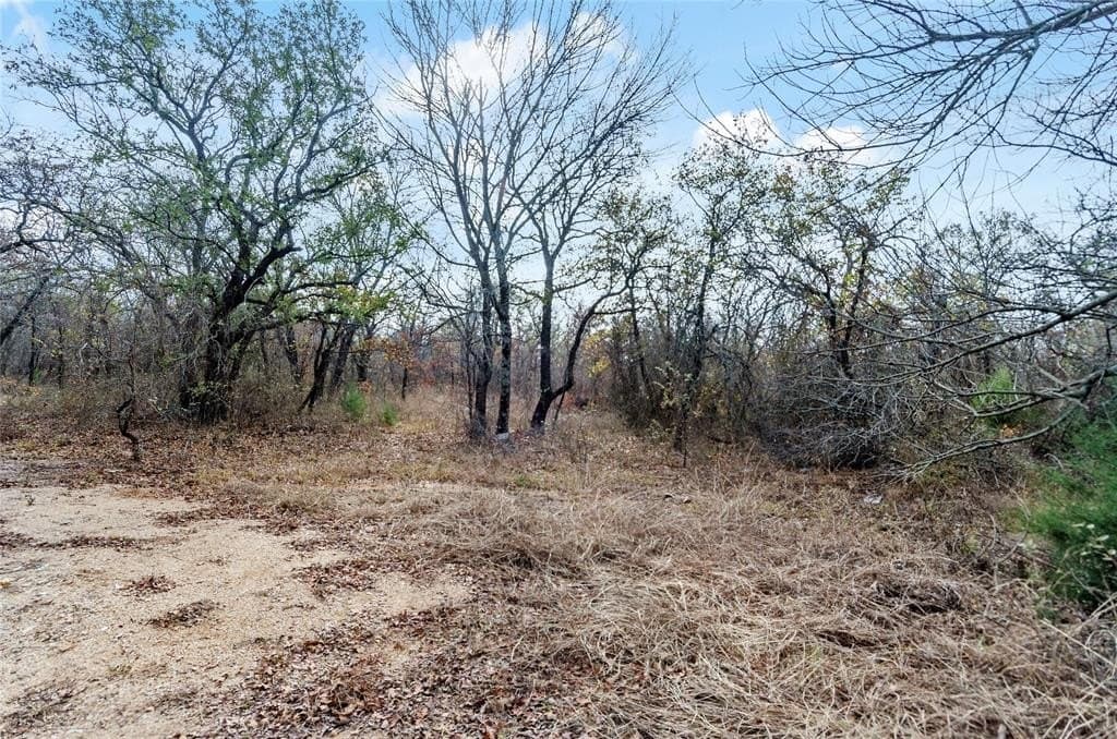 23.83 acres in Wise County - photo 6