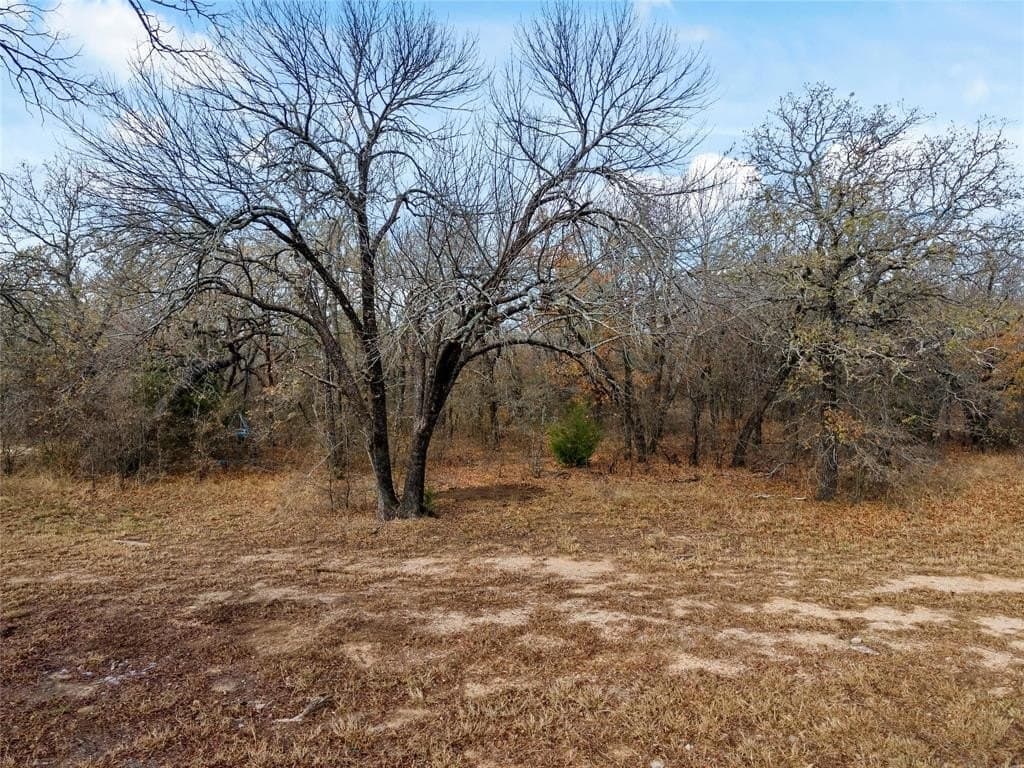 23.83 acres in Wise County - photo 25