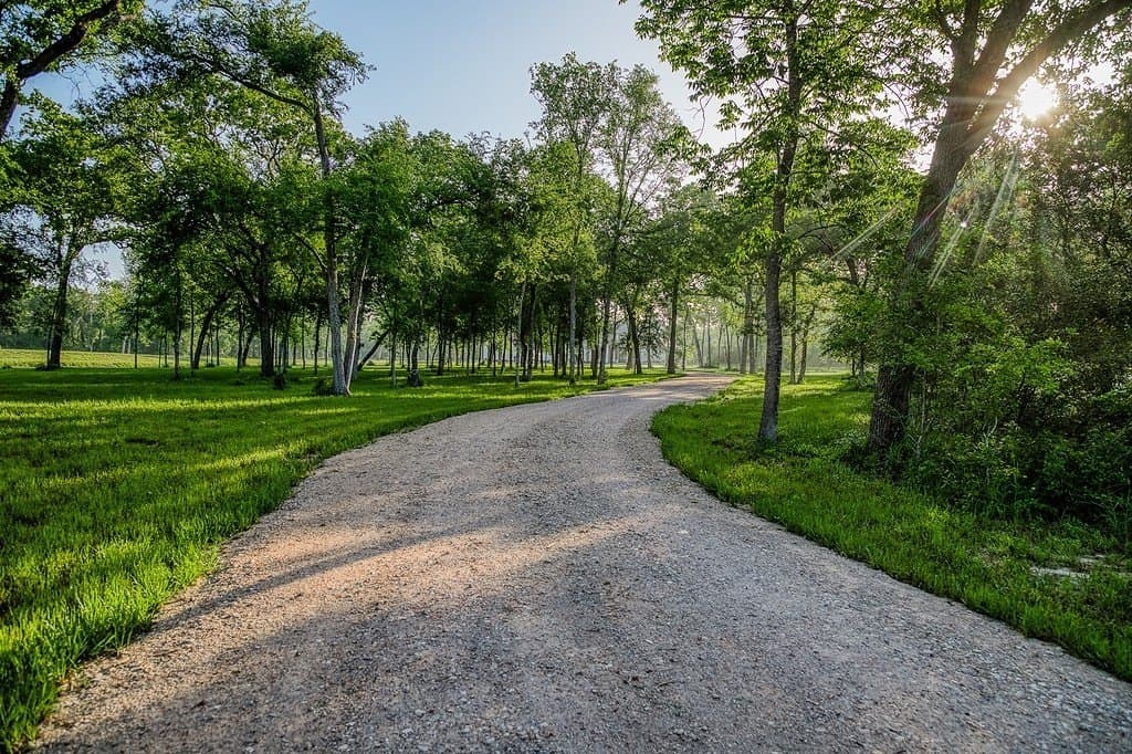 17.65 acres in Waller County - photo 3