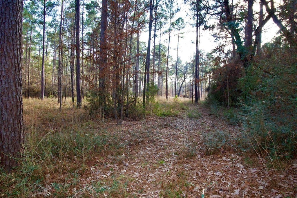 10 acres in HOUSTON County - photo 11