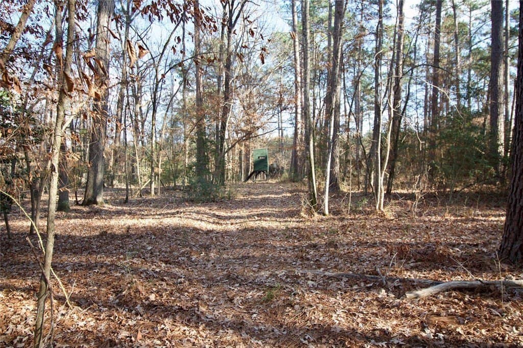 10 acres in HOUSTON County - photo 23