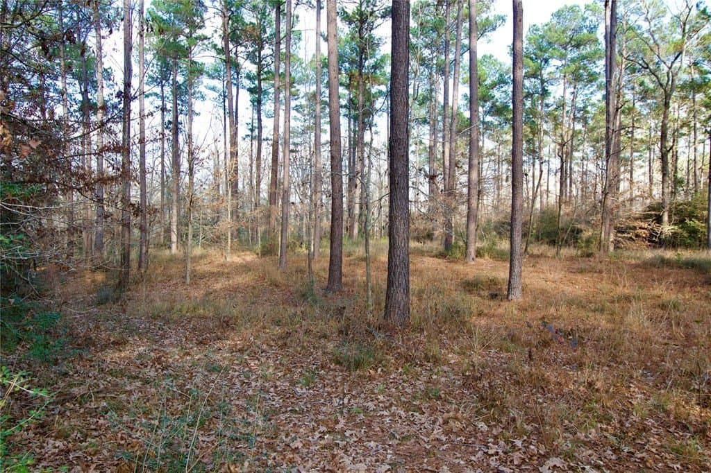 10 acres in HOUSTON County - photo 10
