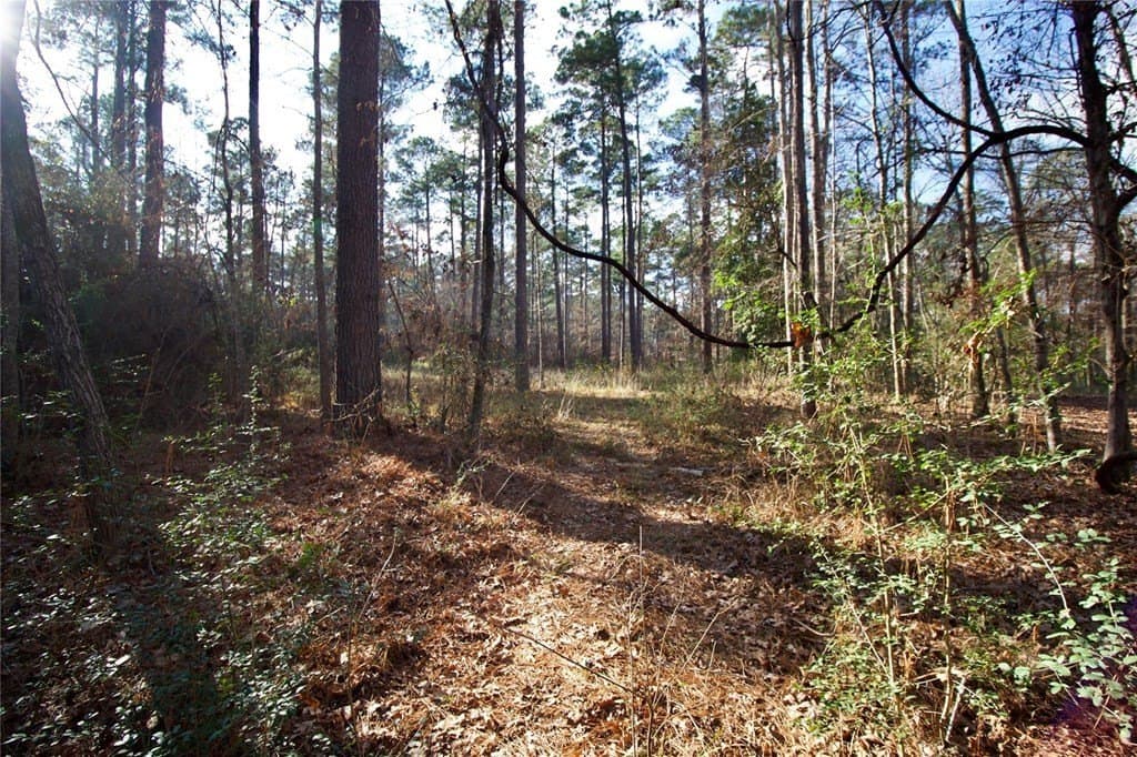 10 acres in HOUSTON County - photo 18