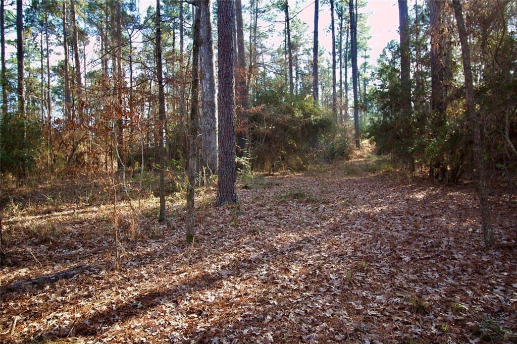 10 acres in HOUSTON County - photo 25