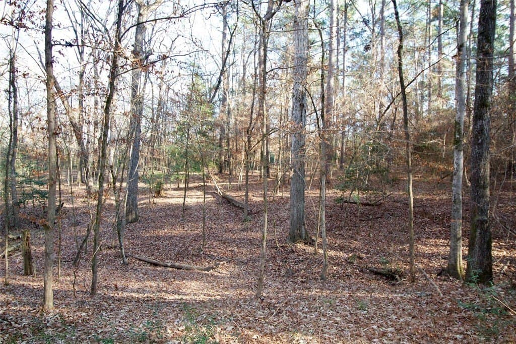 10 acres in HOUSTON County - photo 21