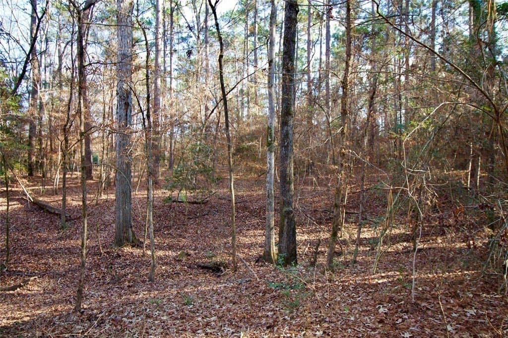 10 acres in HOUSTON County - photo 22