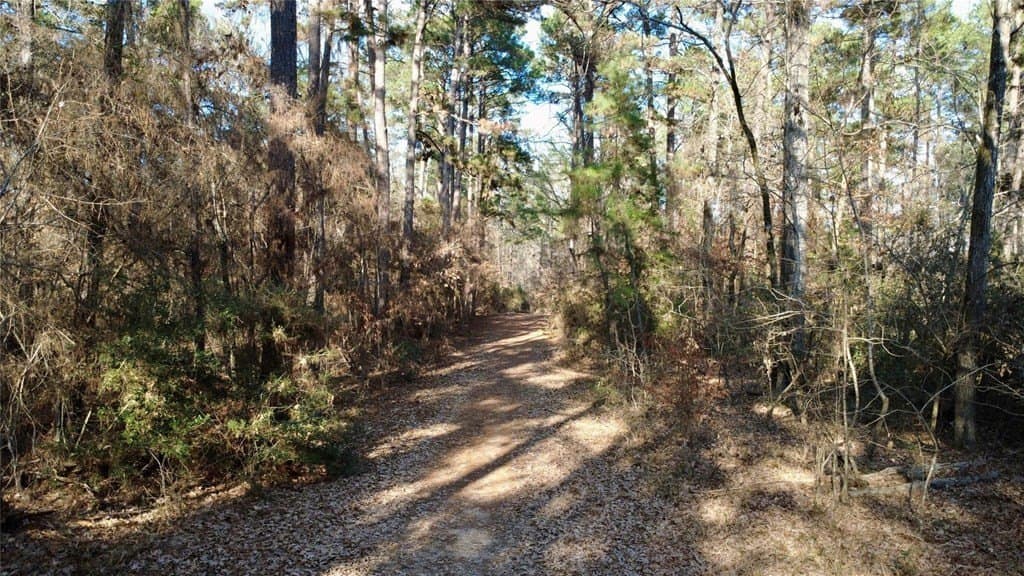 10 acres in HOUSTON County - photo 3