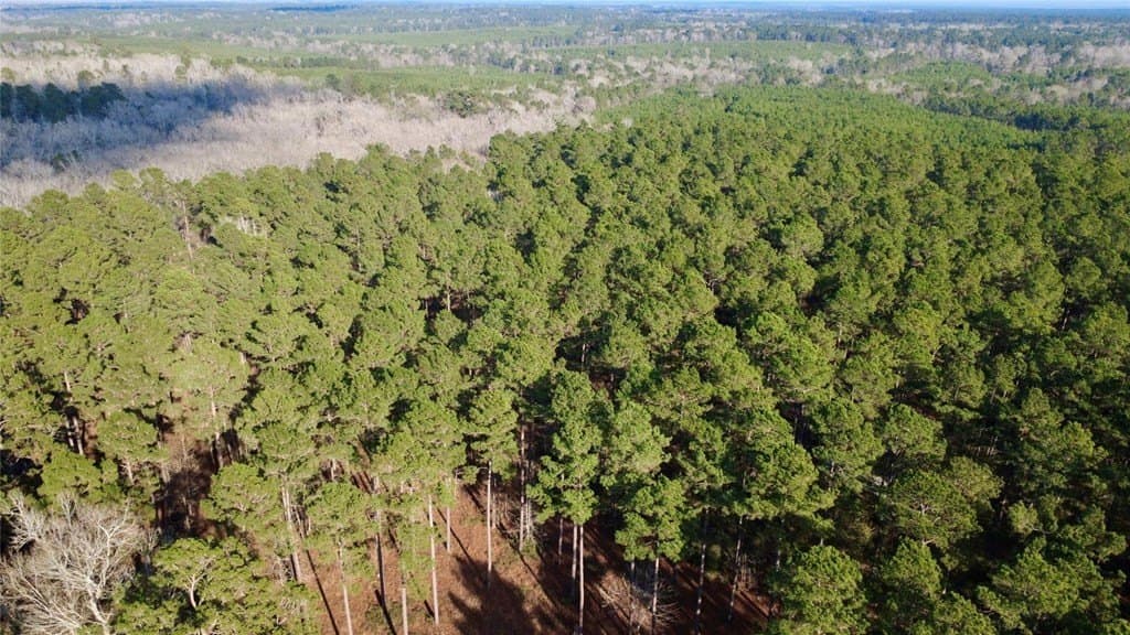 10 acres in HOUSTON County - photo 6