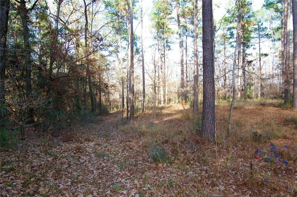 10 acres in HOUSTON County - photo 12